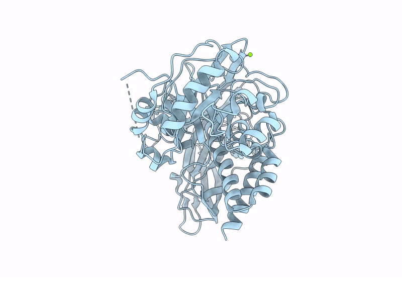 8K2F image