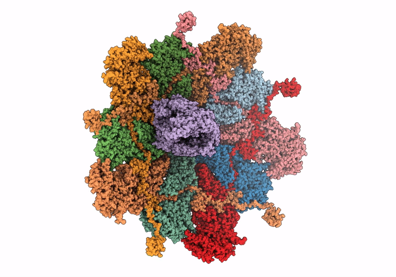 8K43 image