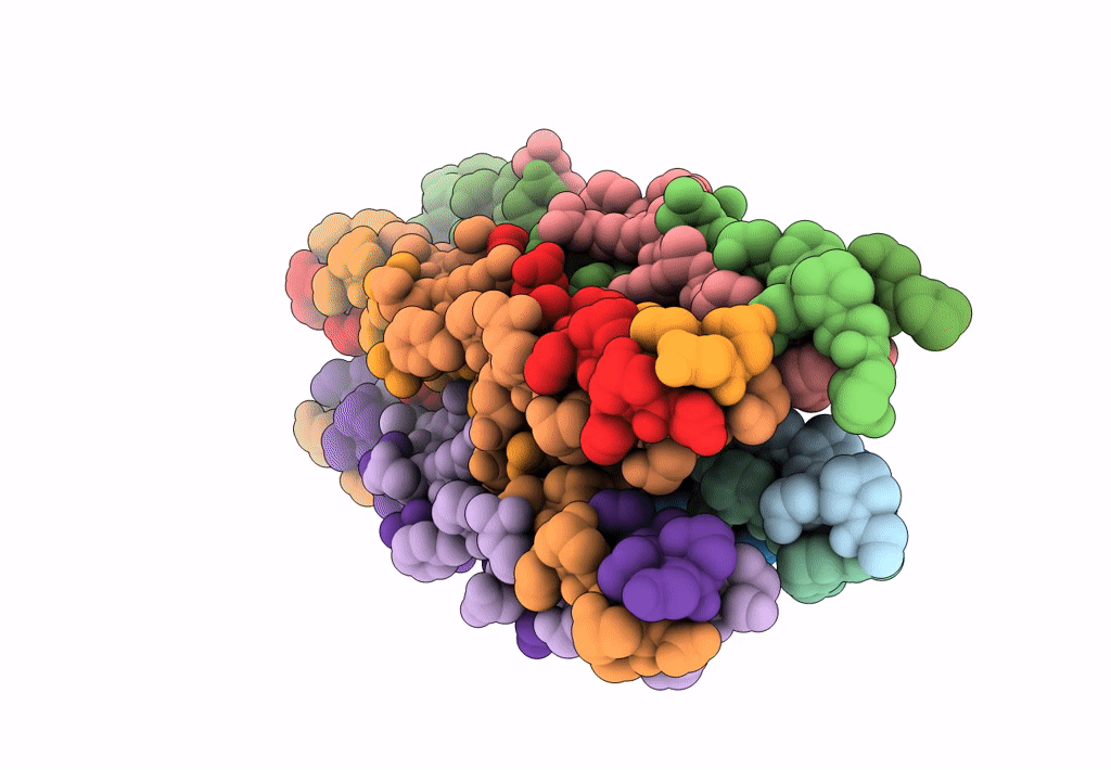 8K4W image