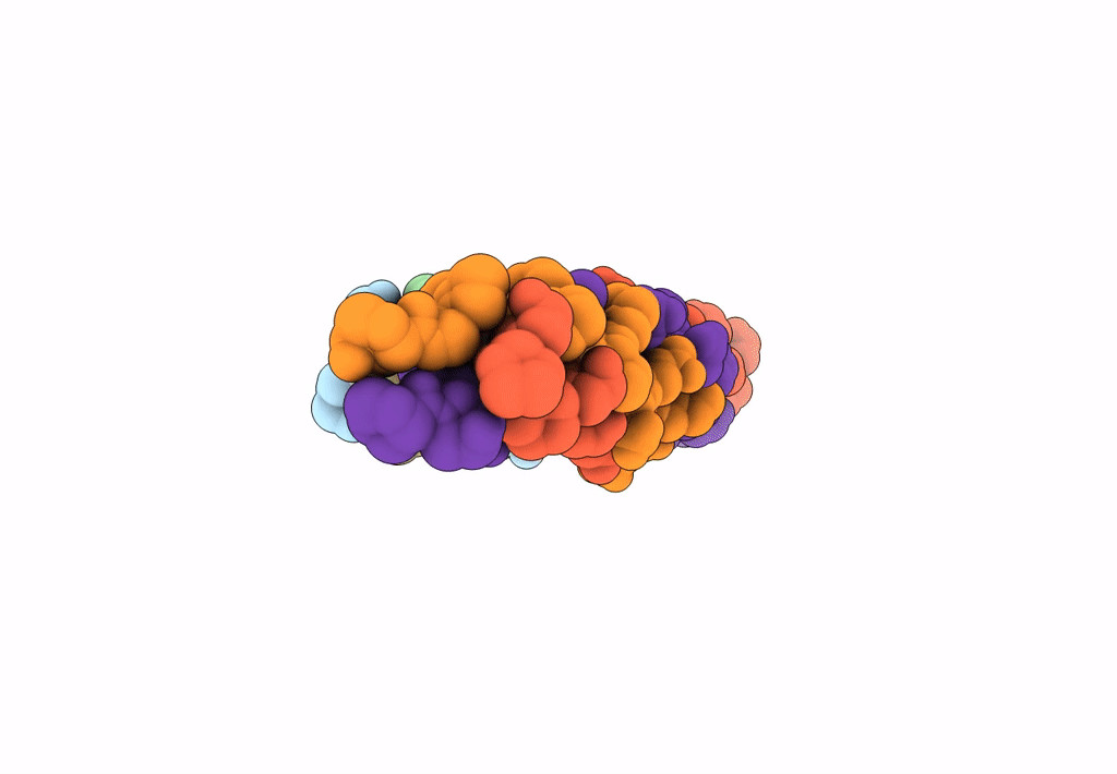 8K4X image