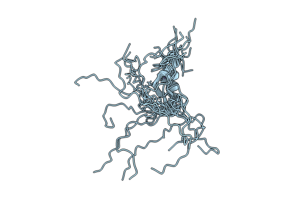 8K81 image