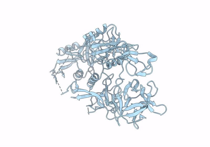 8K8H image
