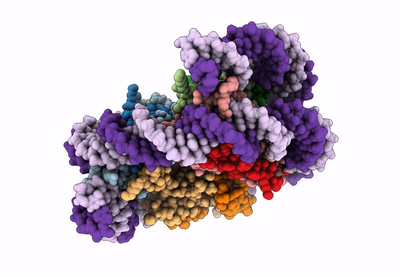 8KB5 image
