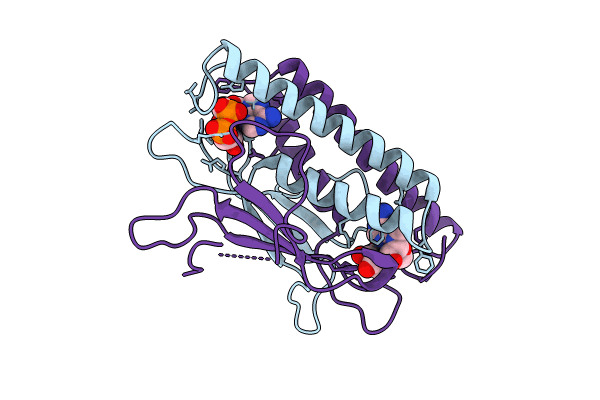 8KBE image
