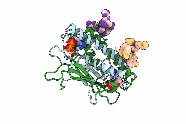 8KBF image