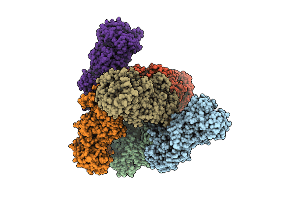 8KBW image