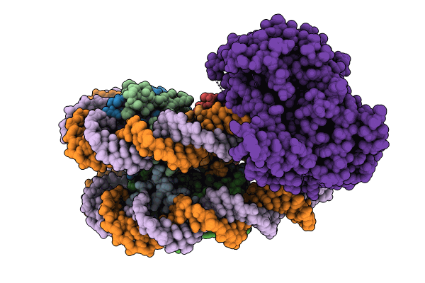 8KCB image