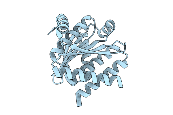 8KCK image