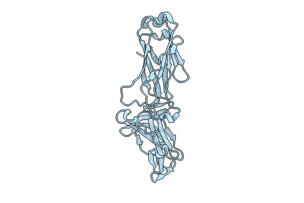 8KCL image