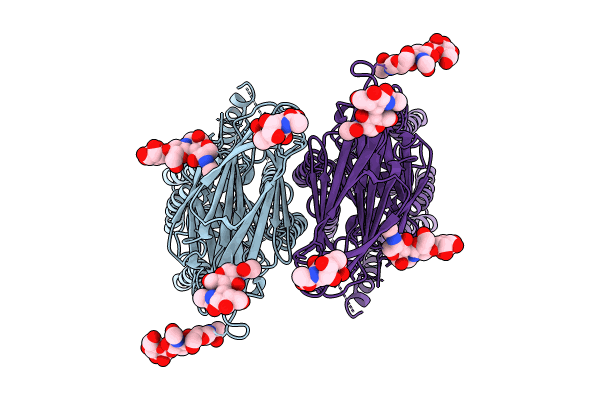 8KCX image