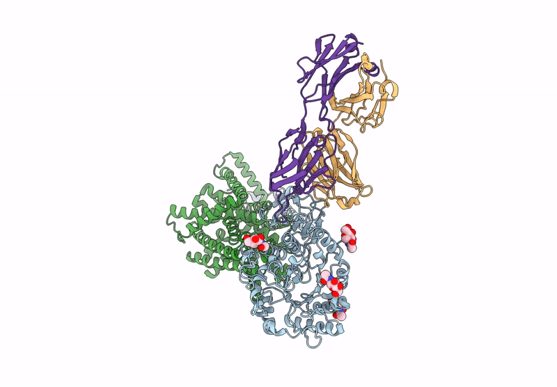 8KDI image