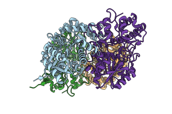 8KDK image