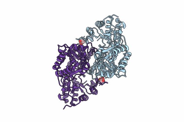8KDL image