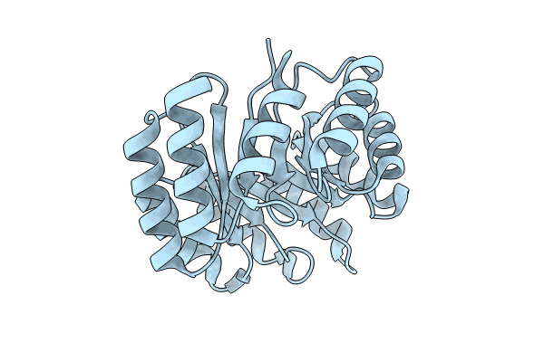 8KDQ image