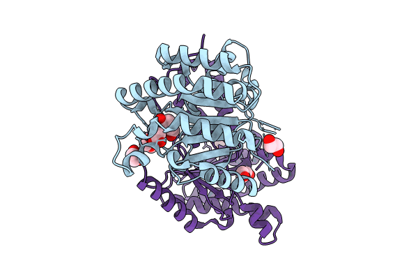 8KGA image