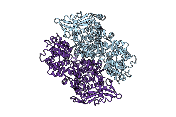 8KGO image