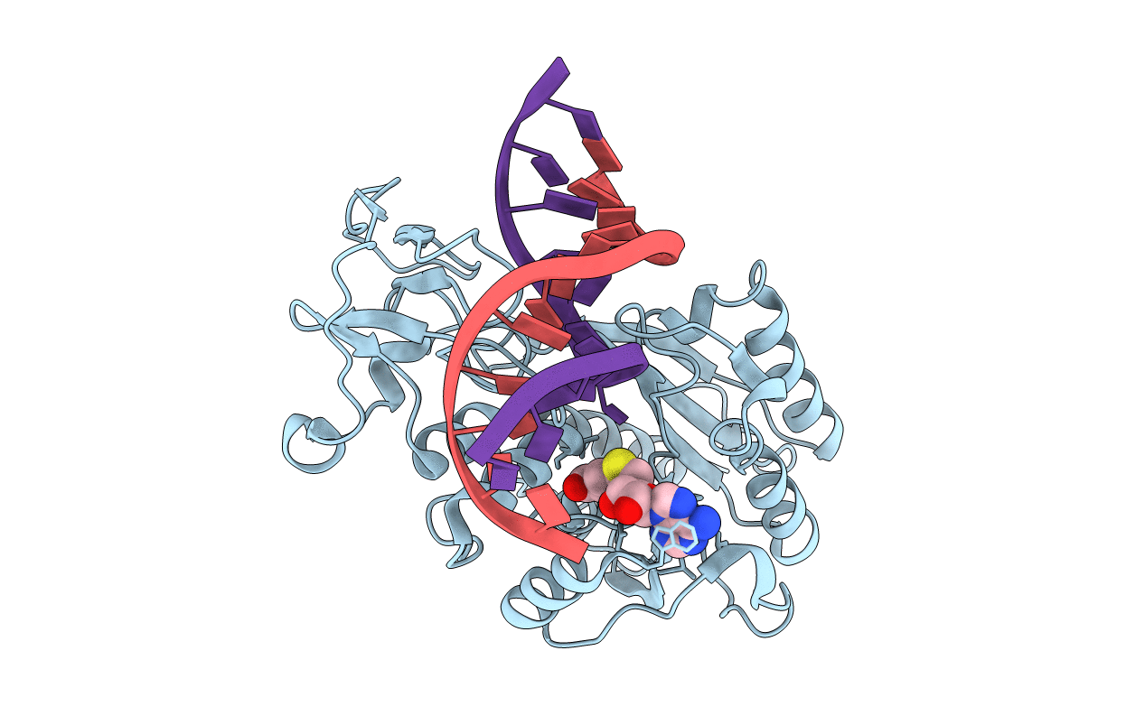 8MHT image