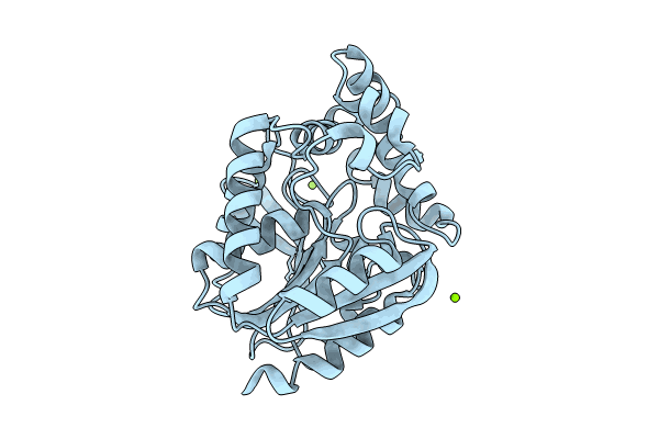 8OE6 image