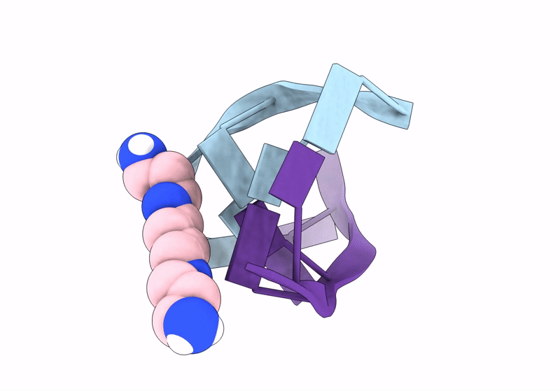 8OEC image