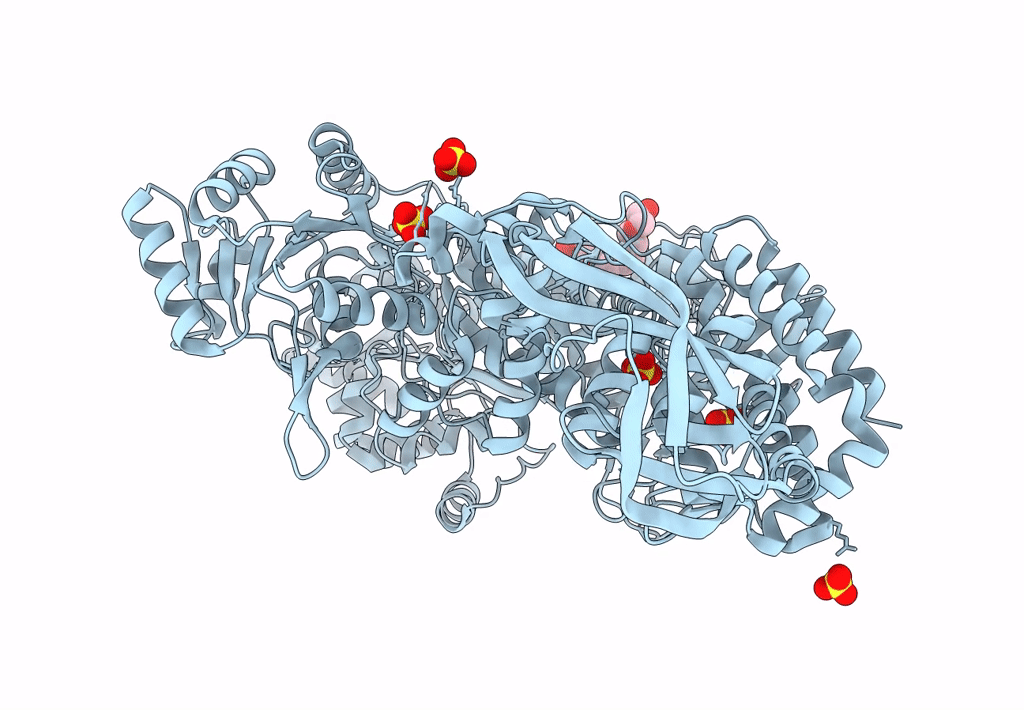 8OFB image