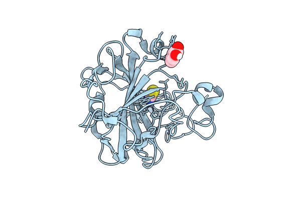 8OGD image