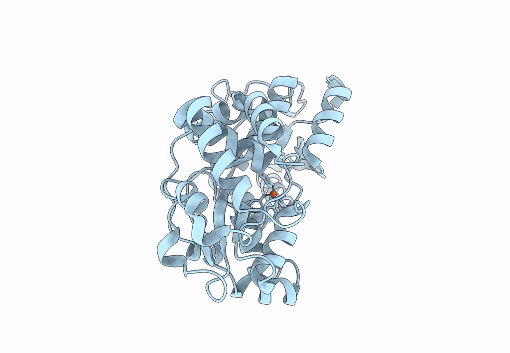 8OGG image