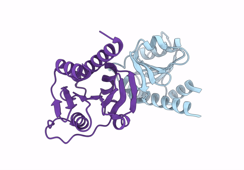 8OGM image