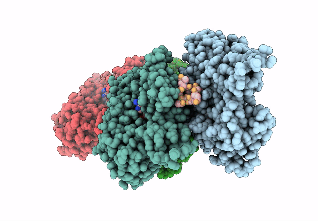 8OI6 image