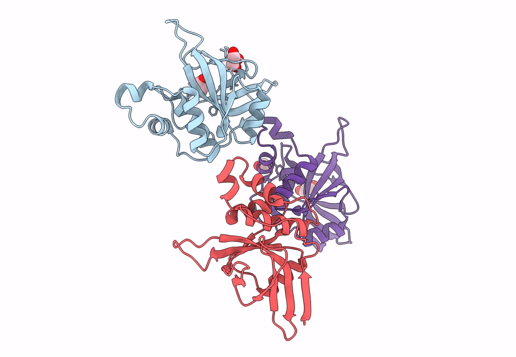 8OIG image