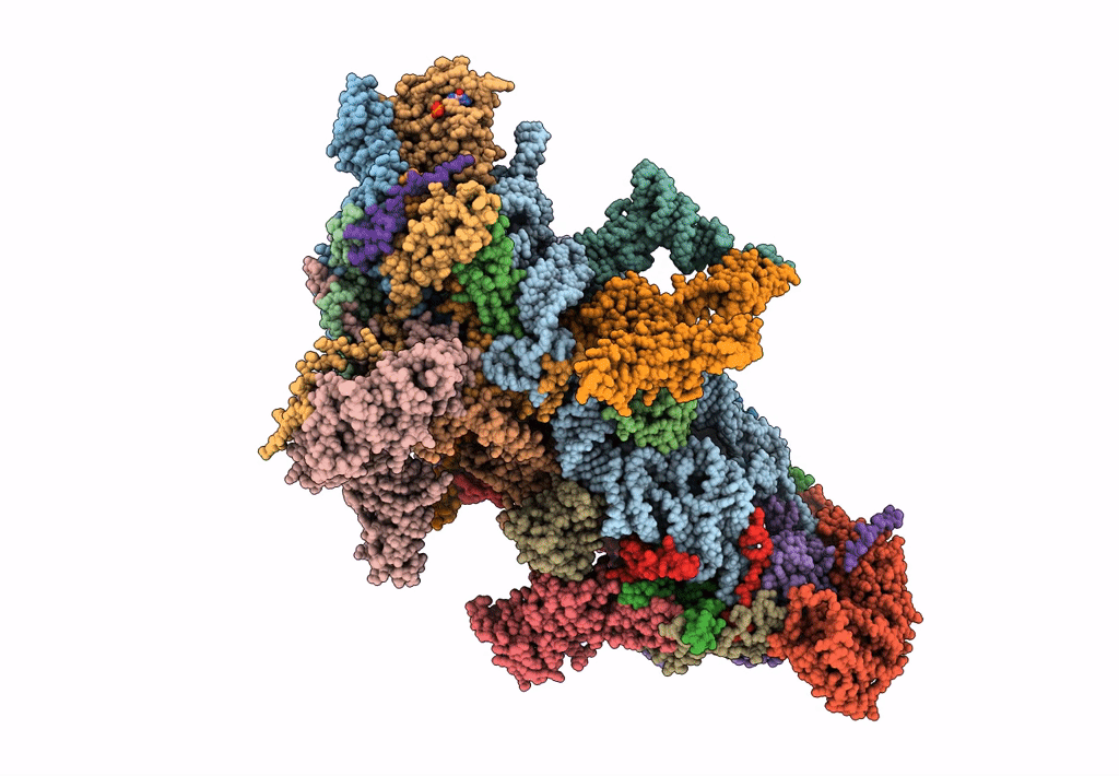 8OIP image