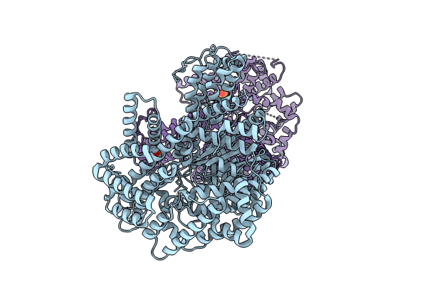 8OJQ image