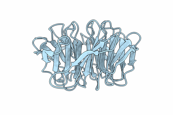 8OK1 image
