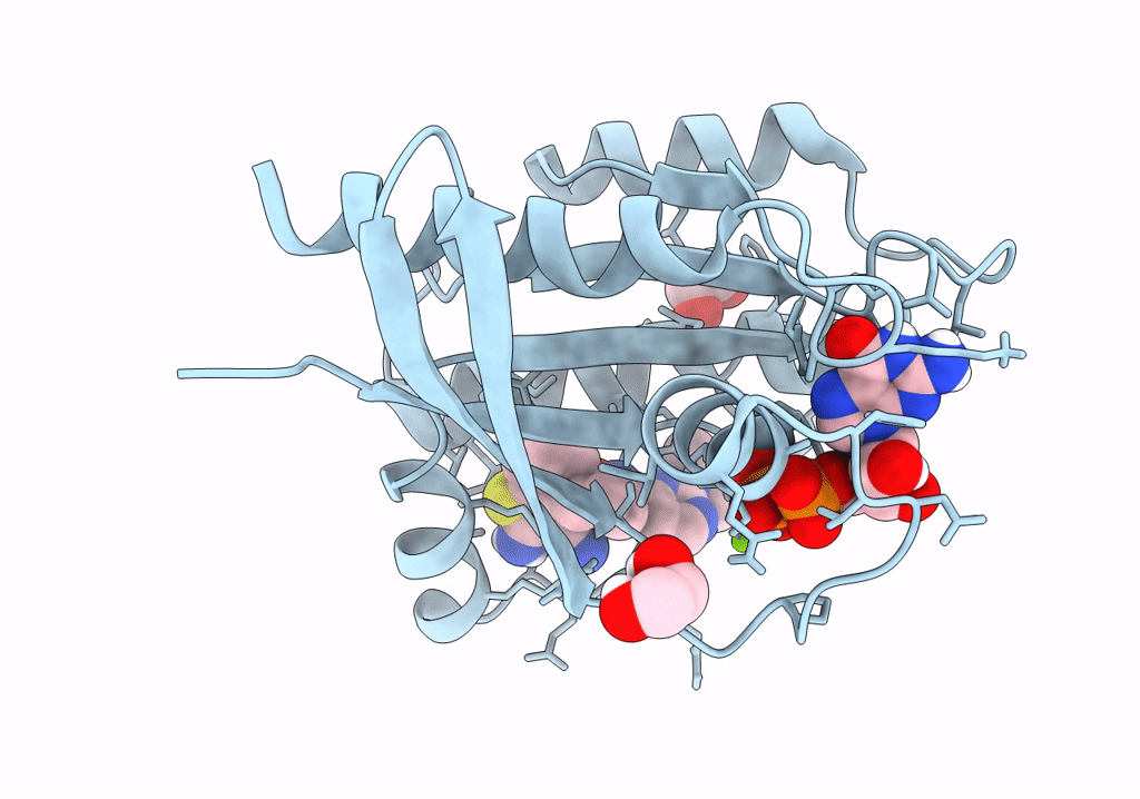 8ONV image