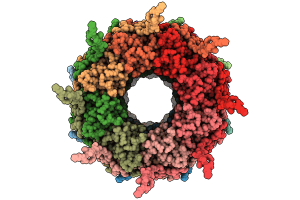 8OPA image