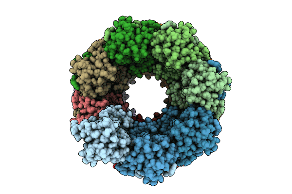 8OPB image