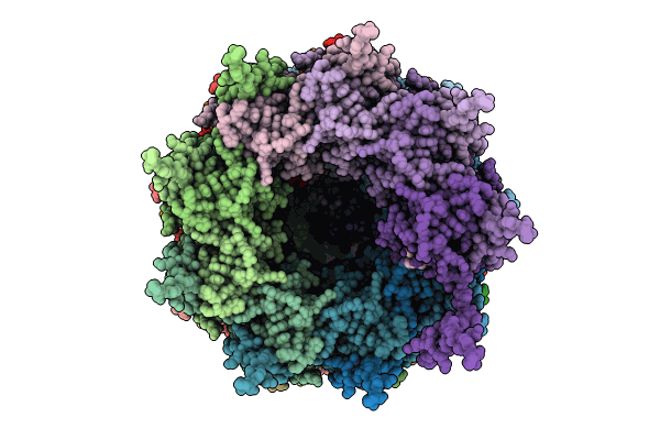 8OPC image