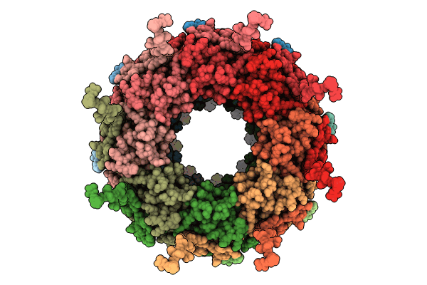 8OPD image