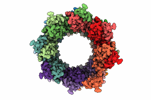 8OPF image