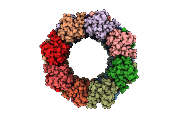 8OPG image
