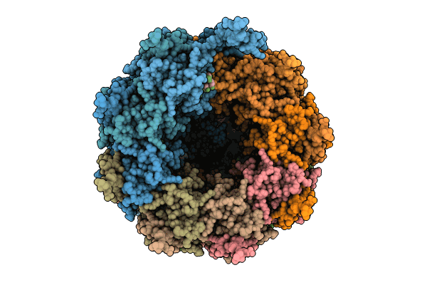 8OPL image