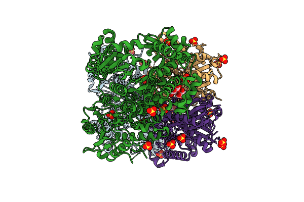 8OPX image