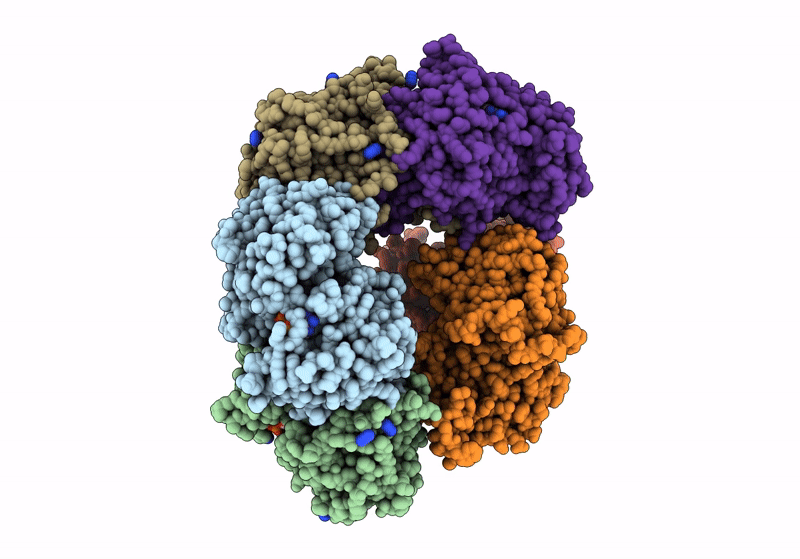 8OQ2 image