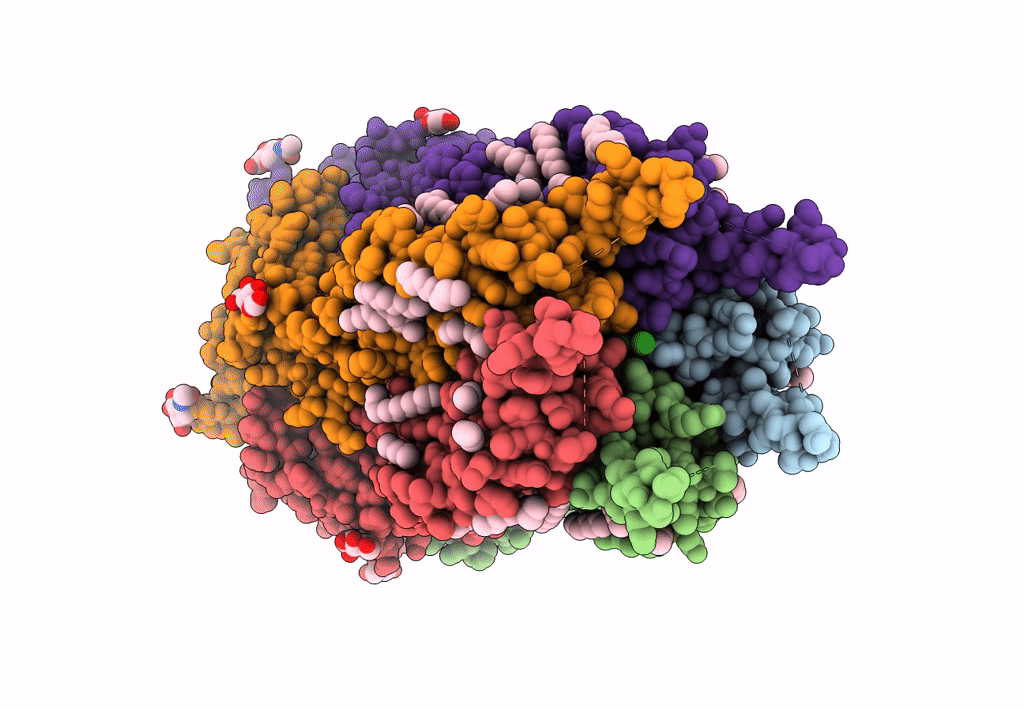 8OQ7 image