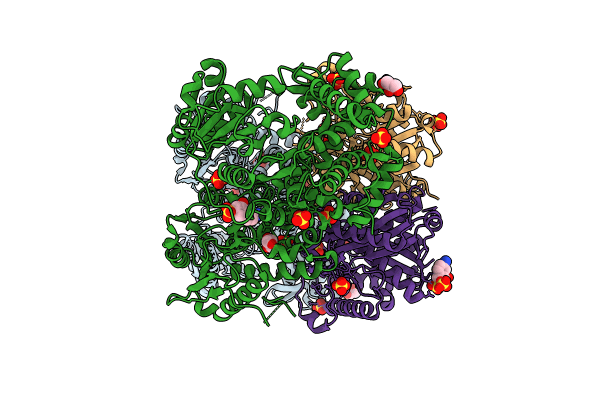 8OQM image