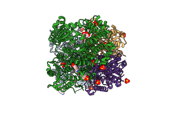 8OQR image