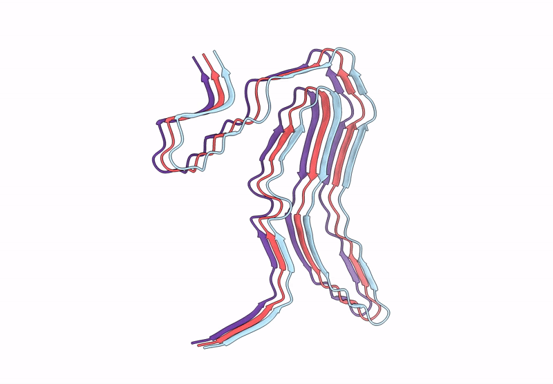 8ORF image