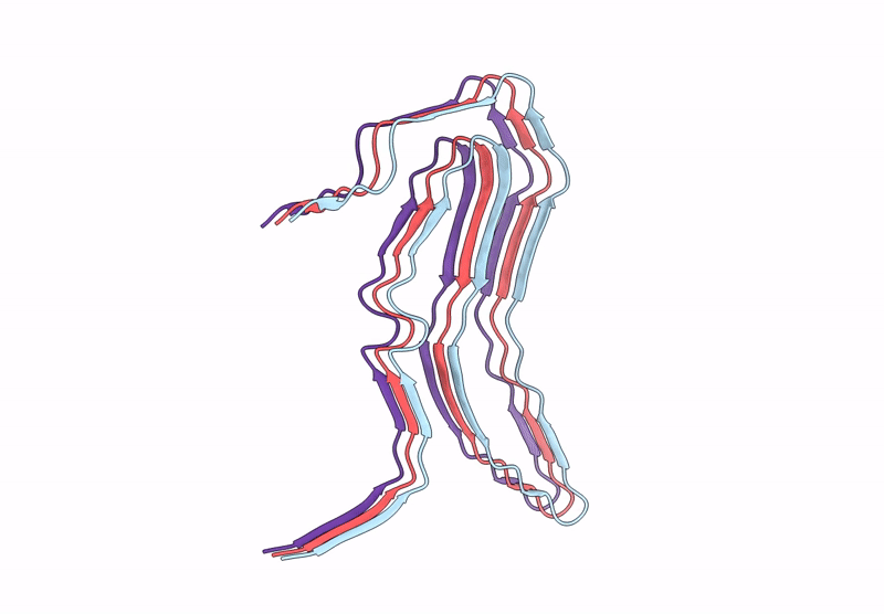 8ORG image
