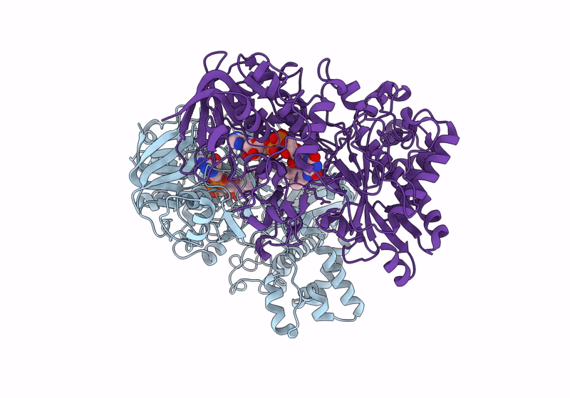 8ORH image