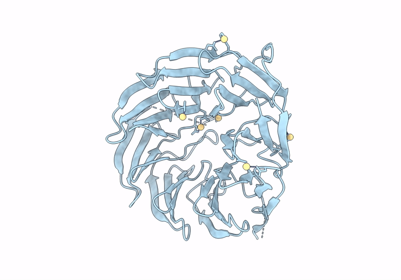 8ORR image