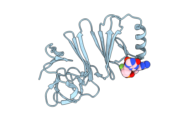 8ORV image
